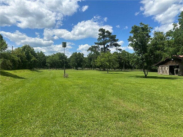30010 River Rd, Mount Hermon, LA 70450 - view of grassy yard