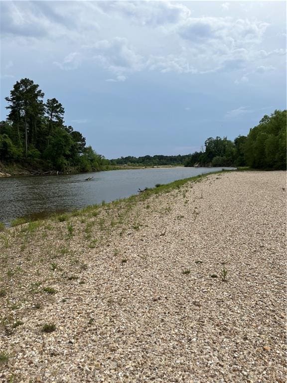 30010 River Rd, Mount Hermon, LA 70450 - water view with a heavily wooded area