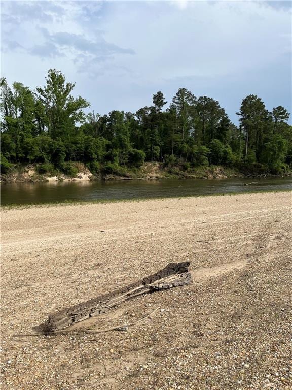 30010 River Rd, Mount Hermon, LA 70450 - view of undeveloped land featuring a nearby body of water