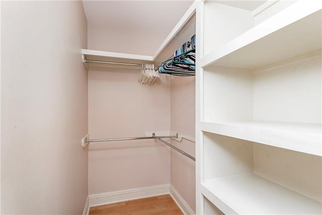 2904 Lloyds Ave, Chalmette, LA 70043 - walk in closet with light wood-style flooring