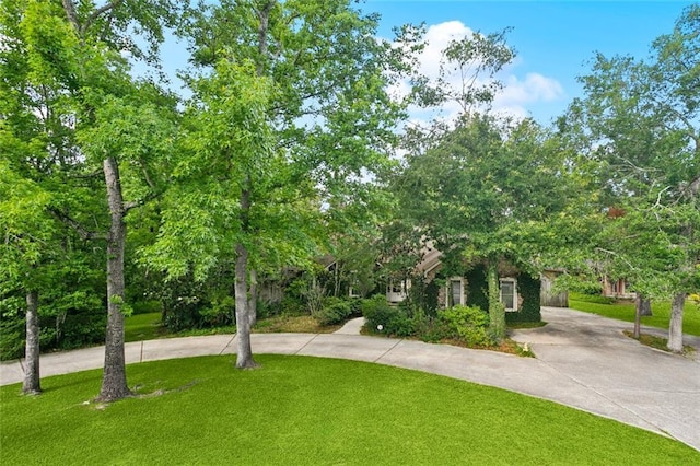 234 Blue Crane 1 Dr, Slidell, LA 70461 - view of front facade with curved driveway and a front lawn