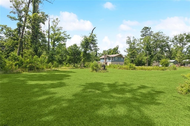 23396 S Maple Dr, Ponchatoula, LA 70454 - view of green lawn