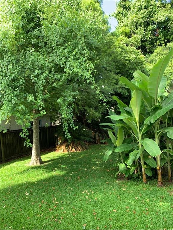 360 Vinet Ave, Jefferson, LA 70121 - view of yard
