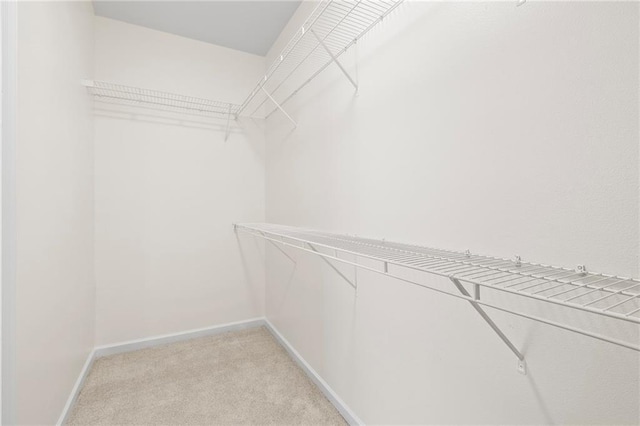 3346 Southlake Ave, Baton Rouge, LA 70818 - walk in closet with light carpet