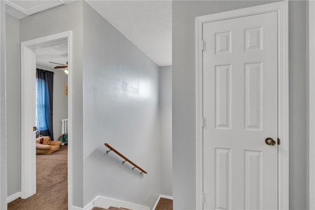 2509 Delta Pointe Dr, Marrero, LA 70072 - photo 23