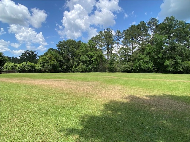 63070 Oak St, Roseland, LA 70456 - view of grassy yard