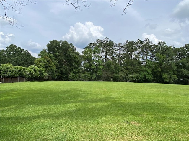 63070 Oak St, Roseland, LA 70456 - view of green lawn