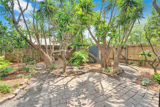 8301 Belfast St Unit 8303, New Orleans, LA 70118 - fenced backyard with a patio area