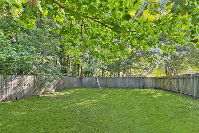 1061 Tallow Tree Dr, Mandeville, LA 70448 - view of yard