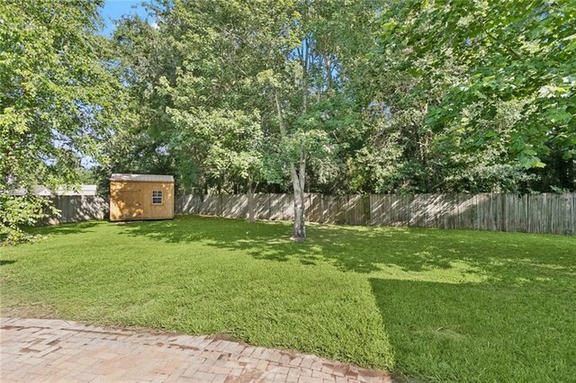 1061 Tallow Tree Dr, Mandeville, LA 70448 - view of yard