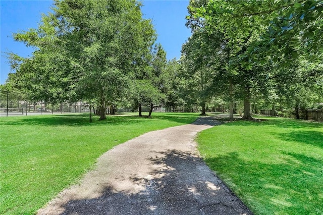 1061 Tallow Tree Dr, Mandeville, LA 70448 - view of surrounding community