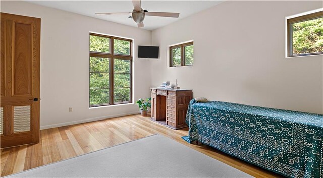 12100 Hay Hollow Rd, Folsom, LA 70437 - photo 39