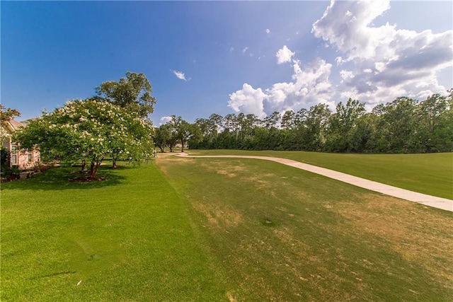 23783 Monarch Pt, Springfield, LA 70462 - surrounding community featuring a yard, view of wooded area, and view of golf course