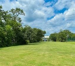 110 Mulberry Ave, Mandeville, LA 70448 - view of property's community featuring a yard