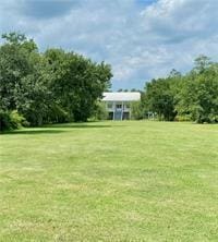 110 Mulberry Ave, Mandeville, LA 70448 - view of green lawn