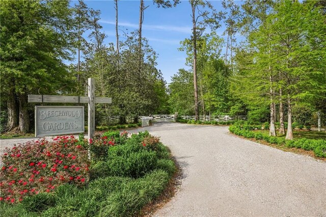 20 Beechwood Gardens Ln, Covington, LA 70435 - view of property's community with driveway
