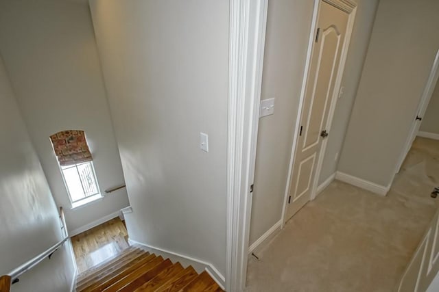 505 Royal Palm Ct, Madisonville, LA 70447 - photo 29