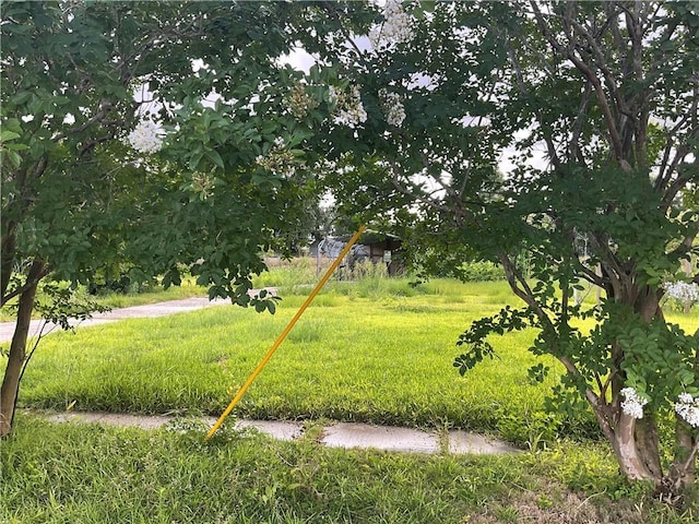 1304 Alexander Ave, Arabi, LA 70032