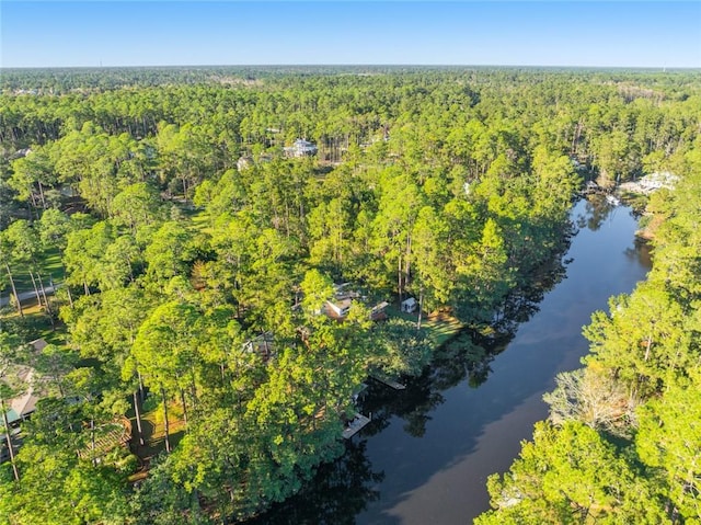 59232 Pine Bay Ln, Lacombe, LA 70445 - photo 41