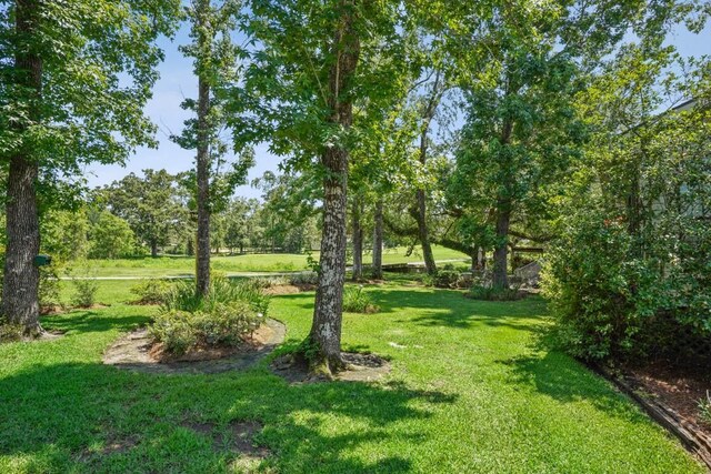 214 Tchefuncte Dr, Covington, LA 70433 - view of green lawn