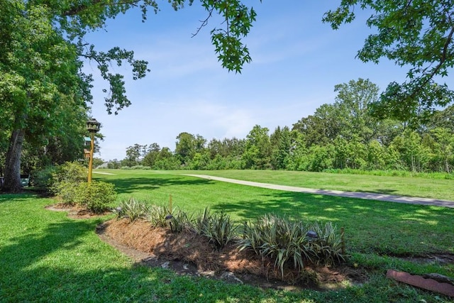 214 Tchefuncte Dr, Covington, LA 70433 - view of property's community featuring a lawn