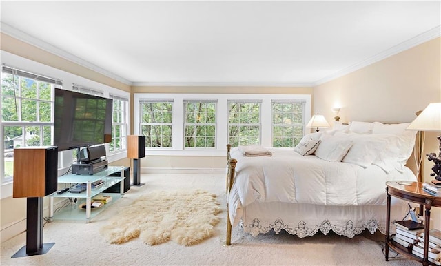 20263 Brunning Rd, Covington, LA 70435 - bedroom featuring crown molding and carpet floors