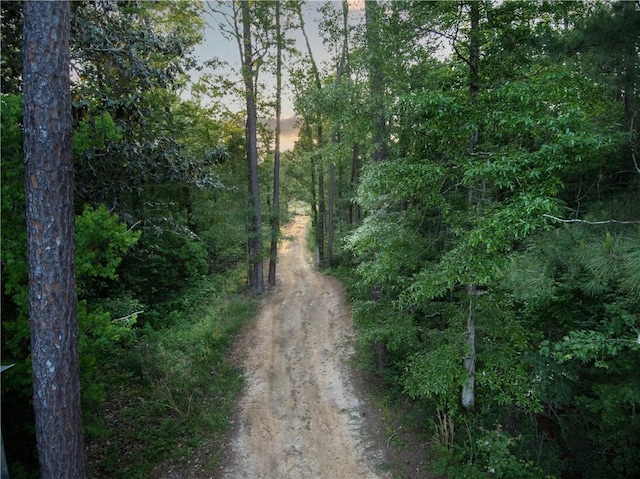 20263 Brunning Rd, Covington, LA 70435 - view of road featuring a forest view