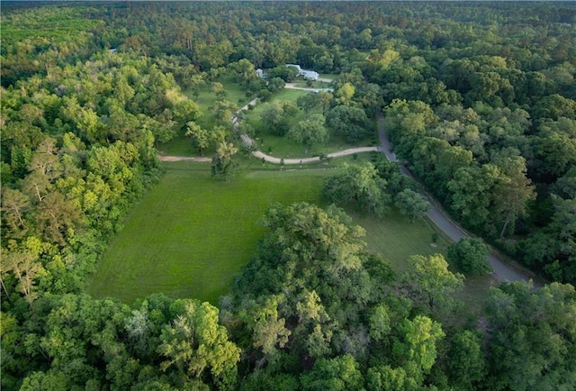 20263 Brunning Rd, Covington, LA 70435 - aerial view of property's location with a forest