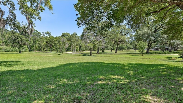 20263 Brunning Rd, Covington, LA 70435 - view of grassy yard with view of scattered trees