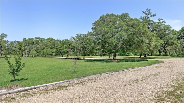 20263 Brunning Rd, Covington, LA 70435 - view of community featuring a lawn