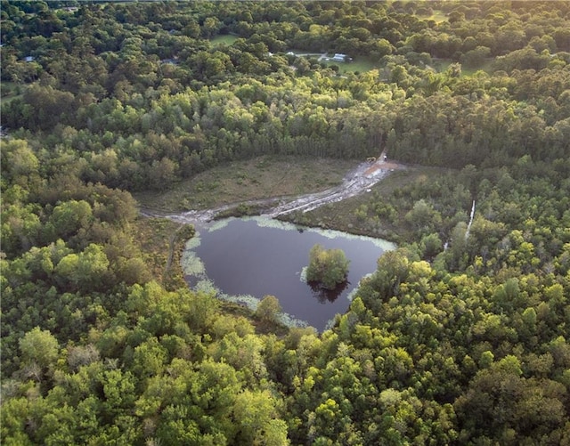 20263 Brunning Rd, Covington, LA 70435 - view of property location with a nearby body of water and a forest