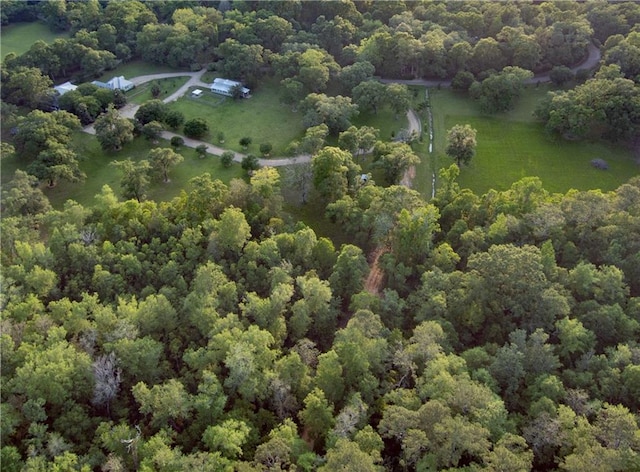 20263 Brunning Rd, Covington, LA 70435 - view of property location featuring a forest