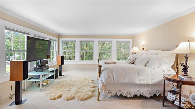 20263 Brunning Rd, Covington, LA 70435 - carpeted bedroom featuring multiple windows, ornamental molding, baseboards, and an office area