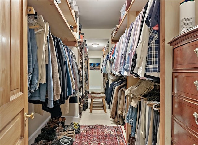 20263 Brunning Rd, Covington, LA 70435 - view of walk in closet