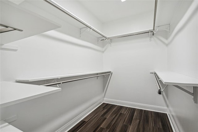 240 Silver Maple Dr, Mandeville, LA 70471 - spacious closet featuring dark wood finished floors