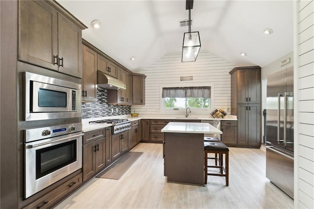 91 Rosedown Dr, Destrehan, LA 70047 - kitchen featuring appliances with stainless steel finishes, a sink, under cabinet range hood, vaulted ceiling, and light wood finished floors
