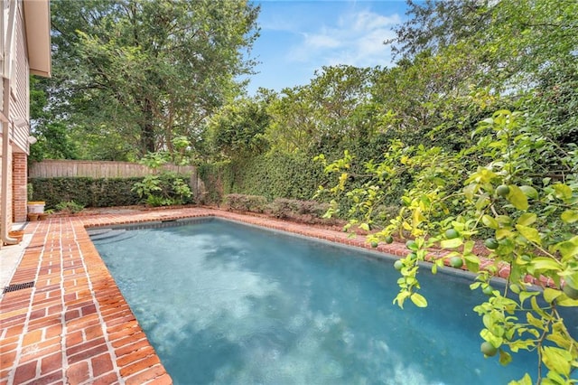 324 Fairway Dr, New Orleans, LA 70124 - view of swimming pool