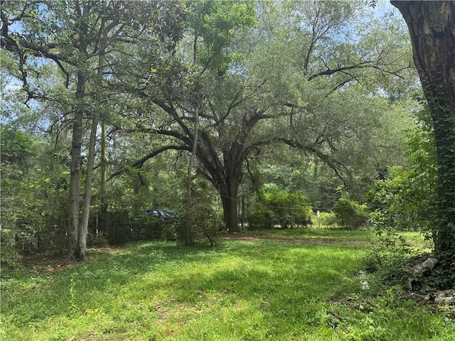 27060 Pichon Rd, Lacombe, LA 70445 - view of yard with a wooded view
