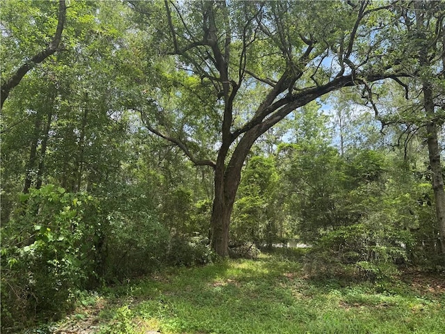 27060 Pichon Rd, Lacombe, LA 70445 - view of wooded area