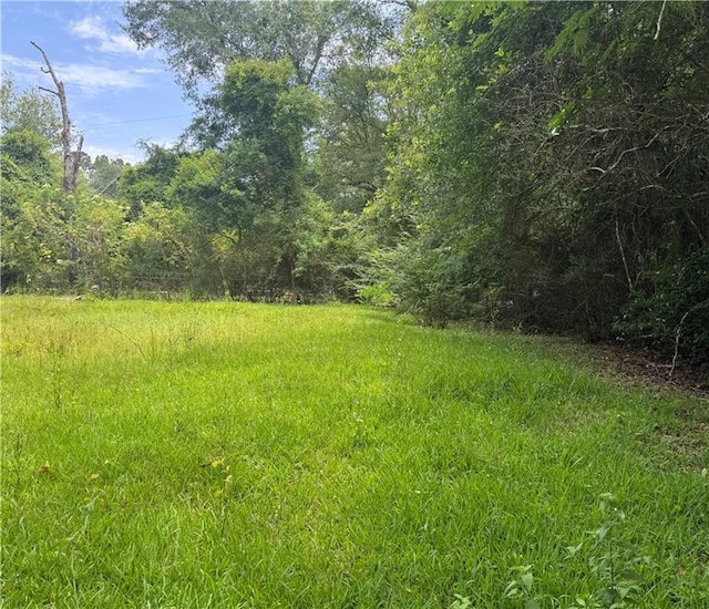 27060 Pichon Rd, Lacombe, LA 70445 - view of yard with a wooded view