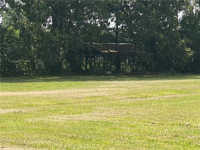 10116 16th Hwy, Amite, LA 70422 - view of green lawn