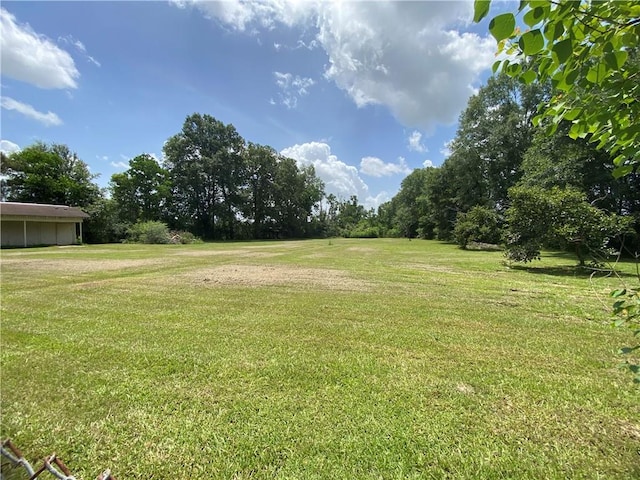 10116 16th Hwy, Amite, LA 70422 - view of grassy yard