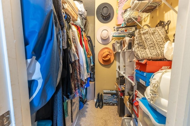 2425 Oxford Pl Unit 139, Gretna, LA 70056 - walk in closet featuring carpet floors