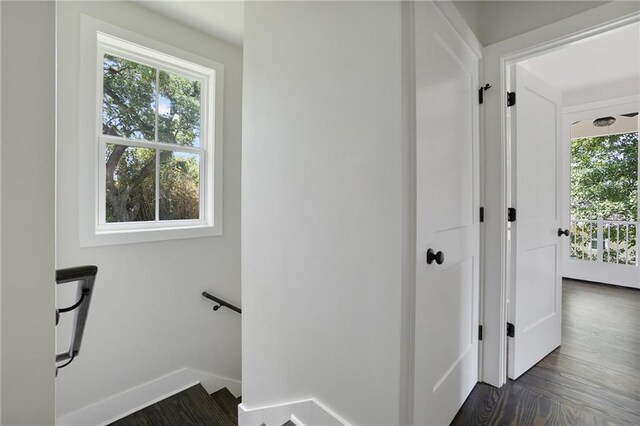 218 N Jackson Ave, Covington, LA 70433 - stairway with plenty of natural light and wood finished floors