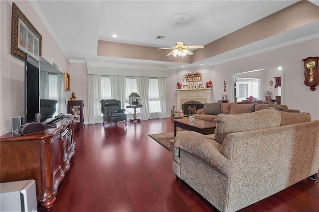 135 Maud Olive Dr, Belle Chasse, LA 70037 - living room featuring a ceiling fan, dark wood-style floors, a raised ceiling, a fireplace, and crown molding