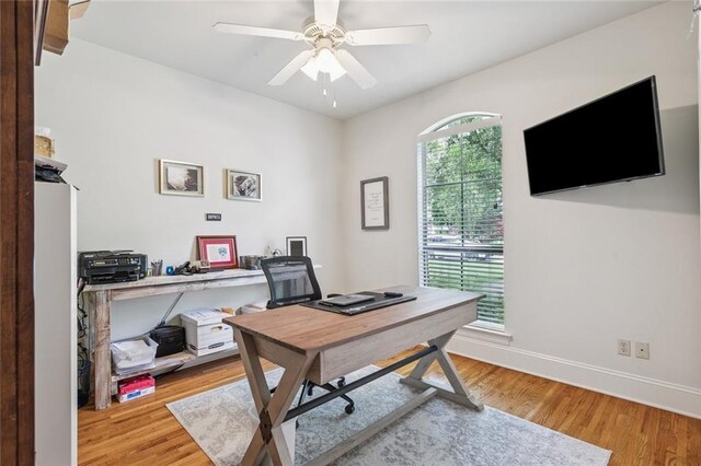 436 Northpark Blvd, Covington, LA 70433 - office space featuring light wood-type flooring, baseboards, and a ceiling fan