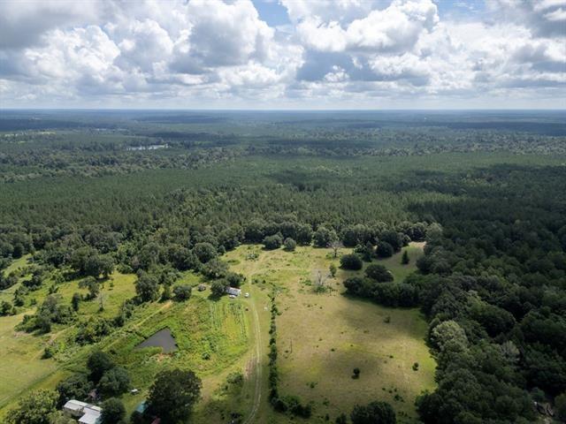 TRACT8 Cyprian Rd, Loranger, LA 70446 - photo 8