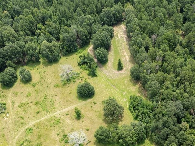 TRACT8 Cyprian Rd, Loranger, LA 70446 - photo 15