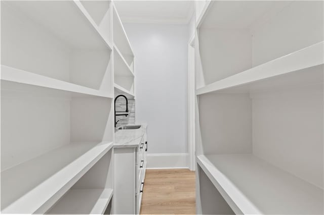 8925 25th St, Metairie, LA 70003 - spacious closet featuring a sink and light wood-style flooring