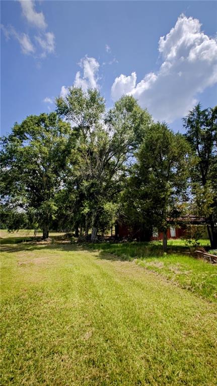 34261 N Wesley Alford St, Mount Hermon, LA 70450 - photo 6